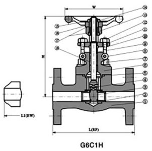 Flanged-End-Gate-Valve-1