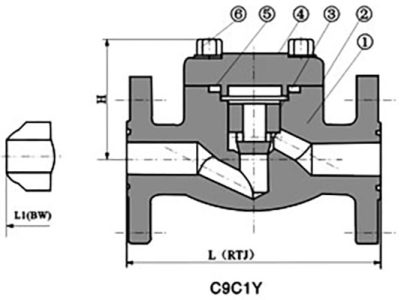 Flanged-End-Gate-Valve-8-1