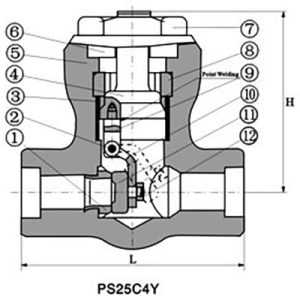 Forged-Steel-Check-Valves-4