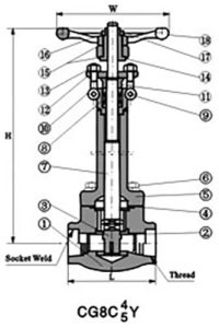 Forged-Steel-Cryogenic-Valve-1-1