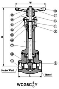 Forged-Steel-Cryogenic-Valve-1-2