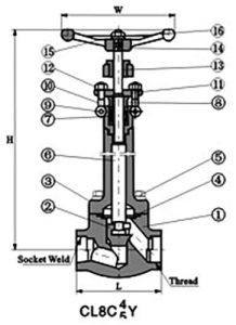 Forged-Steel-Cryogenic-Valve-2-1