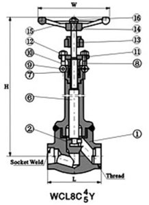 Forged-Steel-Cryogenic-Valve-2-2