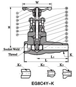 Forged-Steel-Extended-Body-Valve-1