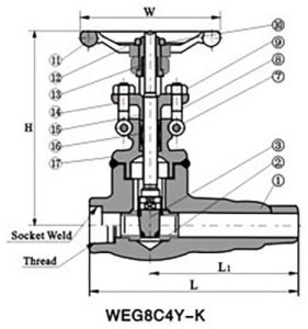 Forged-Steel-Extended-Body-Valve-2