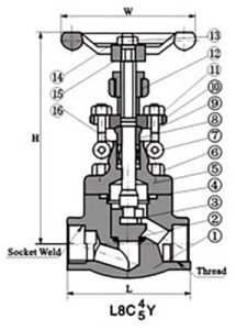 Forged-Steel-Globe-Valves-1-1