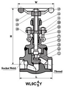Forged-Steel-Globe-Valves-2-2