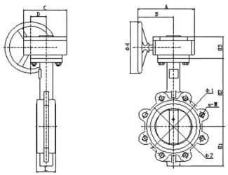 Type-LT-Gear-operation